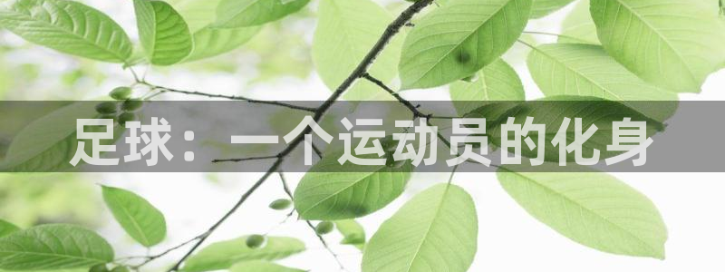 3377体育官网下载是干嘛的公司:足球:一个运动员的化身