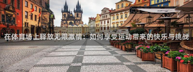 3377体育官网下载官方客服电话:在体育场上释放无限激情:如