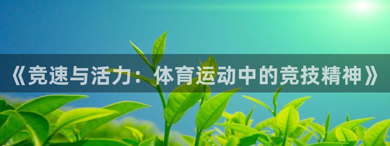 3377体育官方正版app官网:《竞速与活力:体育运动中的竞