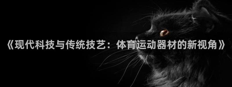 3377体育官网下载平台:《现代科技与传统技艺:体育运动器材