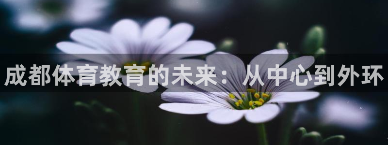 3377体育官网下载官方客服电话:成都体育教育的未来:从中心